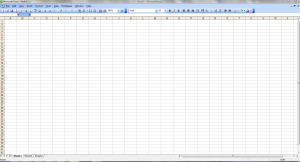 Image of Excel 2003