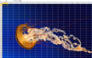 jellyfish-excel-courses