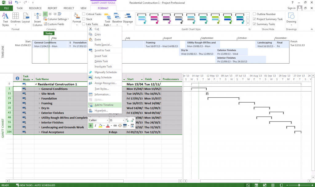 MS Project Timeline