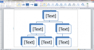 Example of an organisational chart in Word 2010